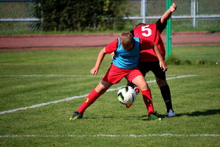 九游官网入口充值-体育赛事志愿者管理及培训体系建设，体育赛事志愿者的工作要求